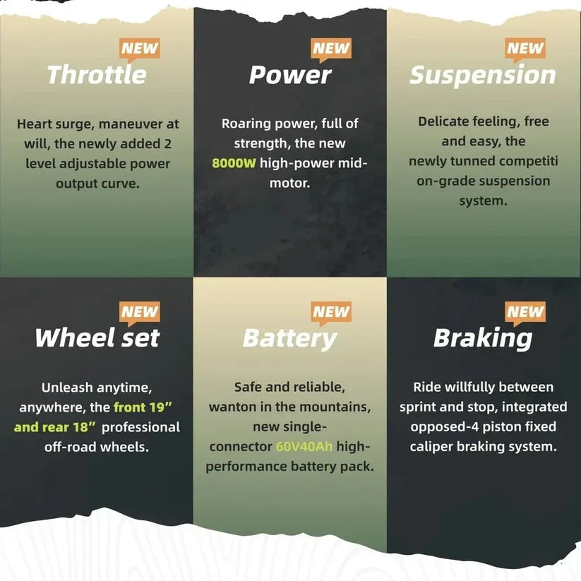 2025 Sur-Ron Light Bee