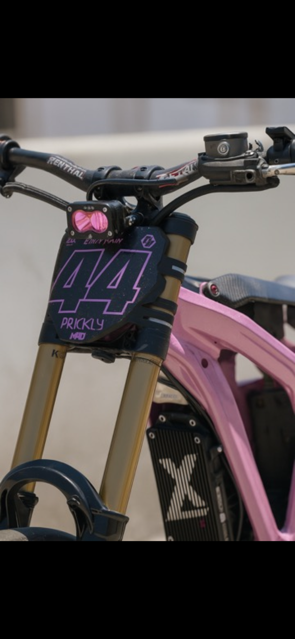 Baja s2/Motoparty tint (8 color options)