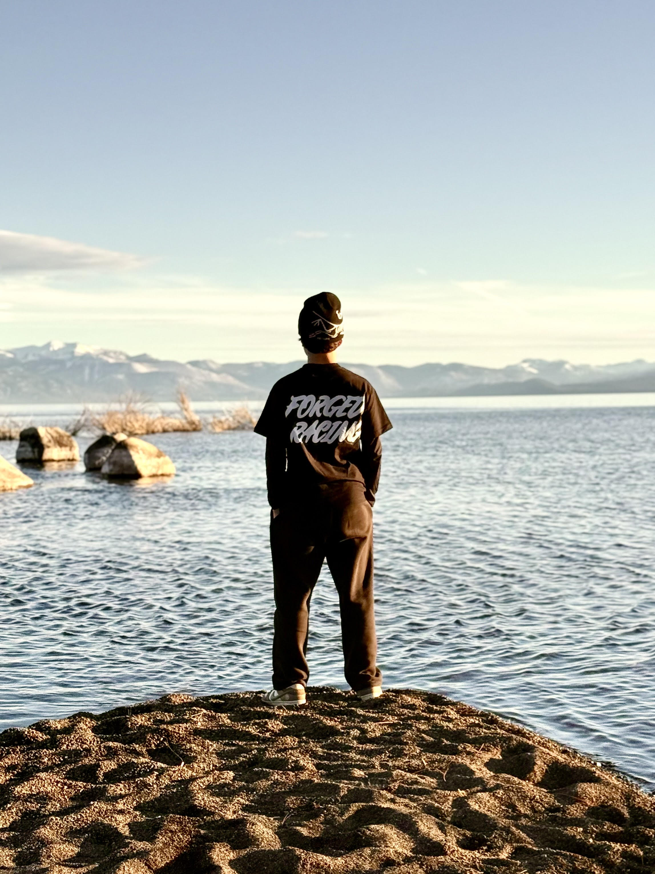 Surron Ultra Bee Rear Brake – Forged Racing