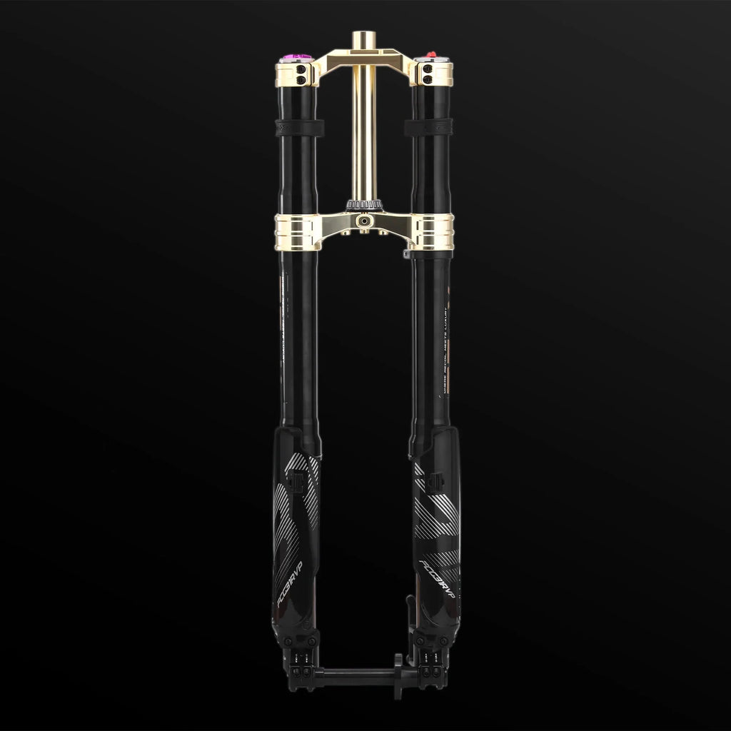 RFloXa Hawk31 Max (Gold)