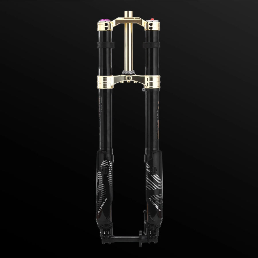 RFloXa Hawk31 Max (Gold)